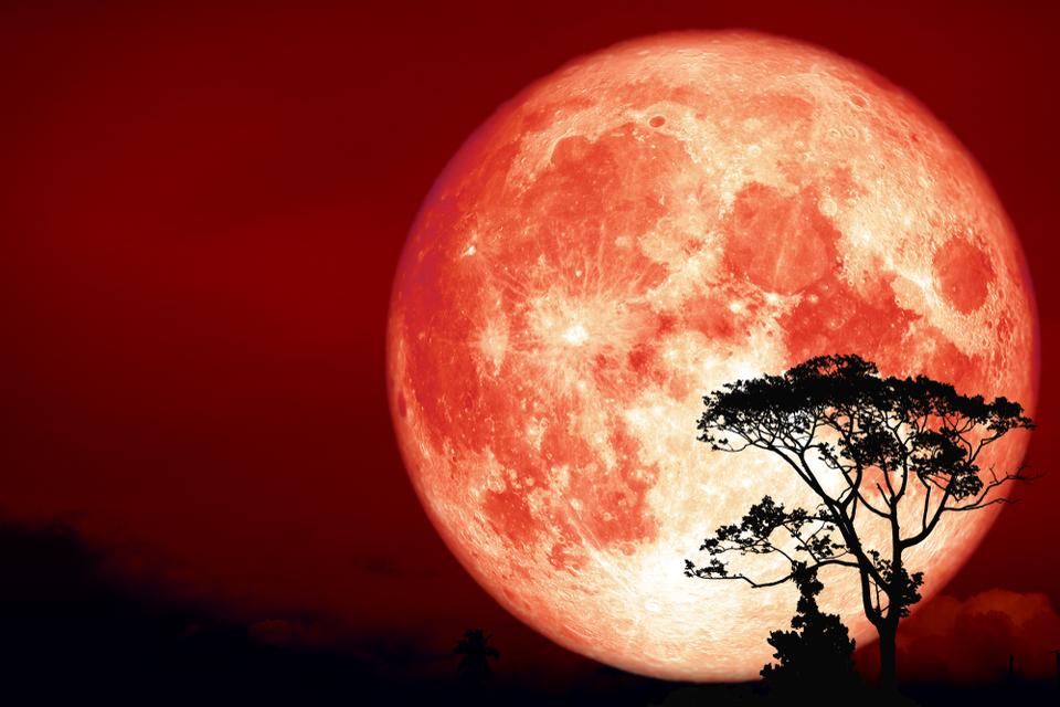Orange Full Hunter's Moon how to see it in the night sky on 13 October