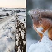 Stock images of snow in Northumberland.