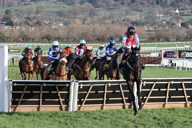 Disappointment for Seahouses trainer Adam Nicol as Minella Study ...