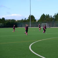 'I fear for our club' - Berwick Hockey Club facing uncertain future amid home pitch upheaval