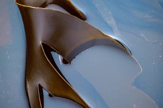Image by David Southern