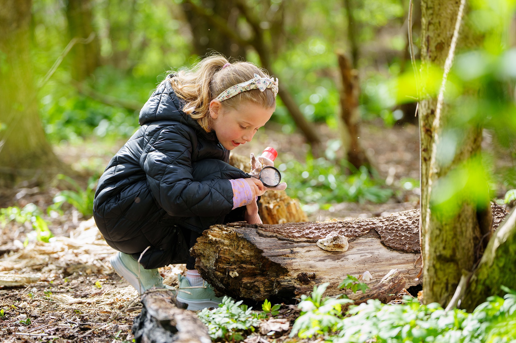 Junge Naturforscher zu kostenloser Insektenjagd eingeladen.