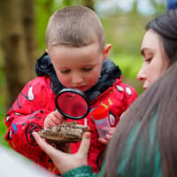 Trails, tales, and Halloween fun with Northumberland Wildlife Trust this half-term