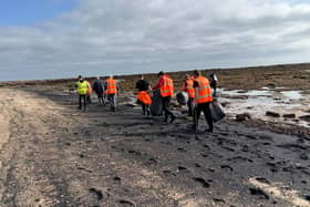 Offenders carrying out Community Payback clear waste from East-Sea Sands.