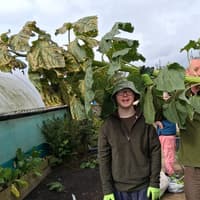 Young gardeners at The Alnwick Garden supported by Lovell