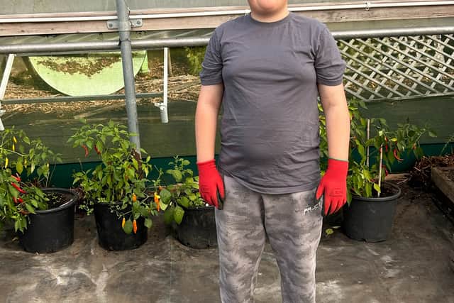 The polytunnel is allowing the group to grow heat-loving plants such as chillies.