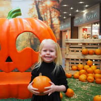 No muddy wellies needed as Halloween half-term fun gets underway at Manor Walks in Cramlington