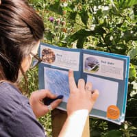 Successful first year for wildlife trail at Northumberland nature reserve