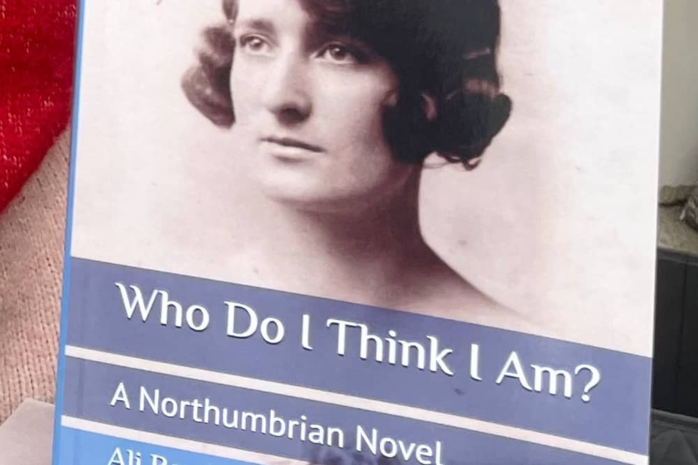 The Novel cover