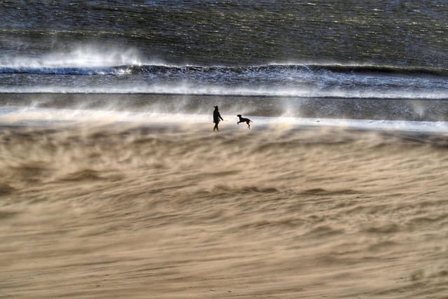 Strong winds on Tynemouth Beach in North Tyneside as Storm Dudley hits the north of England but it wasn't enough to stop this hardy walker and their dog from having a whale of a time. PA