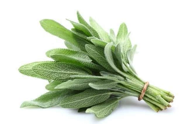 The strong aroma and lovely taste of the sage plant make it a handy herb to have around