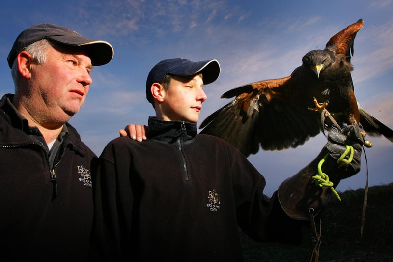 Andy Howey’s Birds of Prey Centre offers an educational, interactive and hands-on experience with a range of birds of prey, reptiles and creepy crawlies! It's home in the grounds of Haggerston Castle. Falconer Andy Howey is pictured, left. For bookings, call 07882 084178.