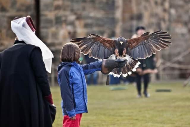 Falconry, broomstick training and much more is due to resume from April 12.