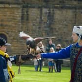 Victorian Falconry displays with Raphael Historic Falconry