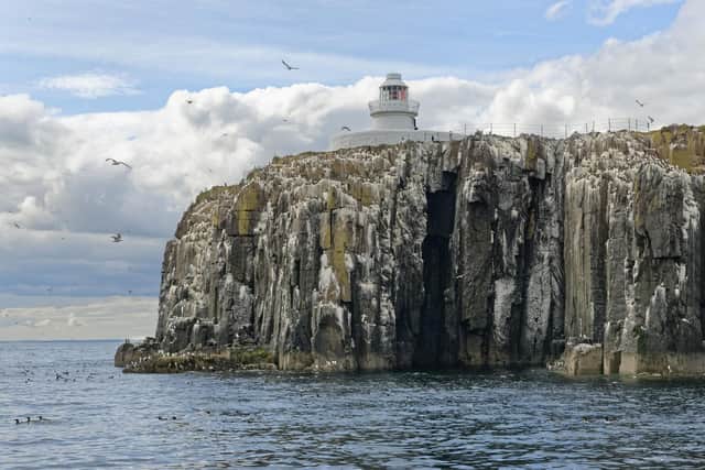 There's 28 islands which make up the Farne Islands. They are cared for by the National Trust.