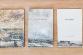 Analog Sea is an offline publisher distributing exclusively to physical bookshops.