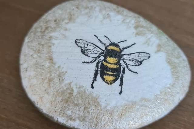 One of the painted bees which are bringing a little joy to Wooler residents.