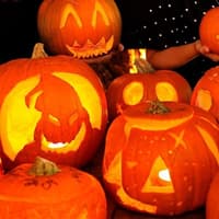 Aldi and Lidl beaten by two supermarket rivals in Halloween pumpkin price test