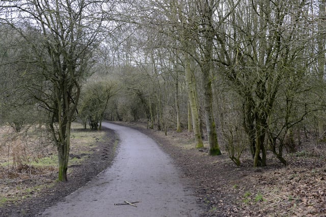 Plessey Woods Country Park is set in 100 acres of enchanting woodland and meadows by the River Blyth. It is located at Hartford Bridge, near Bedlington.