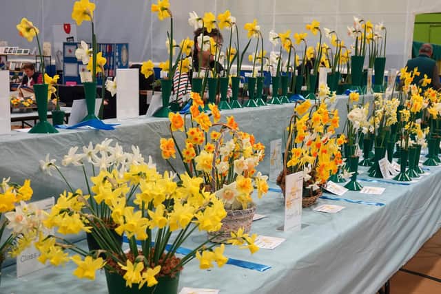There is still time for people to enter. These are daffodils from the 2019 show.