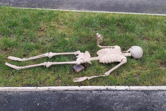 The skeleton appeared on the grass verge as if from nowhere. (Photo by David Vincent)