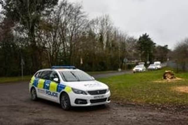 Police cordoned off a section of woodland after the bones were found in March.