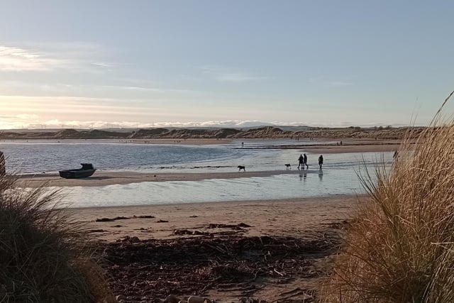 Richard Starks, from Alnwick, took this fine photo on a recent visit to Beadnell.