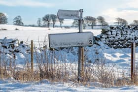 Middlesbrough Latest News | Northumberland Gazette