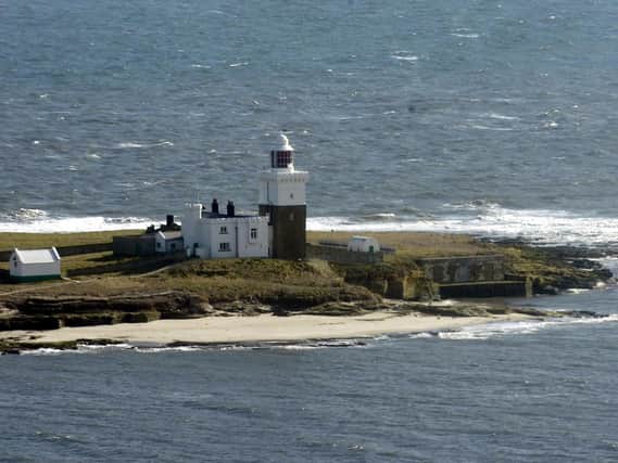Rare birds on Coquet Island are under threat from “rogue” paddle boarders, kayakers and drones. Picture by Jane Coltman