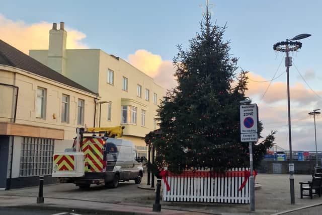 The tree must be removed after a "massive" split was found in the trunk. (Photo by Newbiggin by the Sea Town Council)