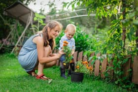 Green-fingered people burn a lot of calories taking care of their garden. For example, planting fruit and vegetable seeds or plants for 20 minutes burns 105 calories