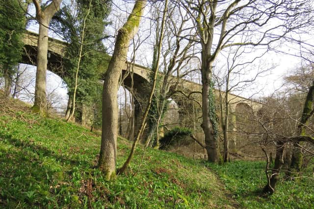 A £150,000 funding appeal to restore Cawledge viaduct has been launched. Picture: Tom Lloyd