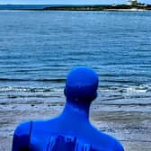 Sally Howarth's Blue Mannequin looking out at Coquet Island