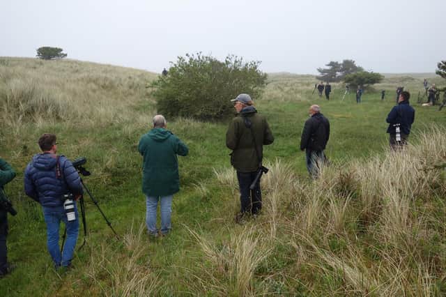 Desert Warbler twitchers on Holy Island, socially distancing.