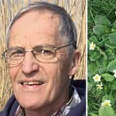 John-Michael, who has written this article, and a picture of spring primroses by Canon Alan Hughes.