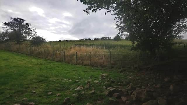 Boundary fences between neighbouring farms ensures animal 'social distancing'.