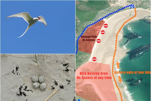 Restrictions are in place at Beadnell Bay to protect nesting shorebirds.