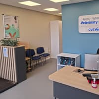 A £100k new look for veterinary practice in Whitley Bay