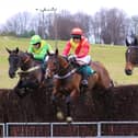 Action from the Ratcheugh Racing Club point to point at Alnwick.