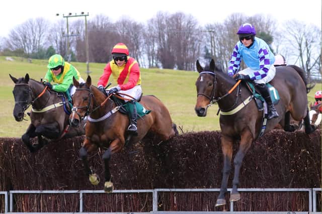 Action from the Ratcheugh Racing Club point to point at Alnwick.