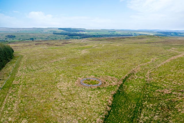 Birdhope includes around 19 acres of mowable land adjacent to the River Rede, as well as about 26 acres of enclosed, permanent pasture. Further to the south west, as the land rises, the fell grazing extends to about 302 acres.