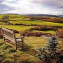 Alnwick Moor, by Janice Eckersly, winner of the CPRE's View from the Doorstep photographic competition.