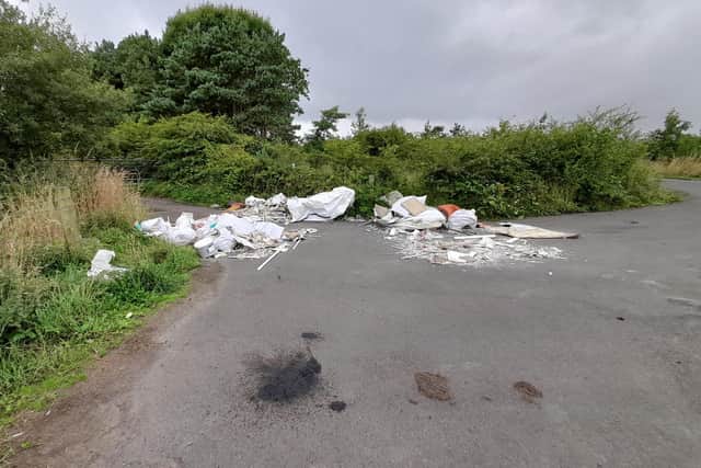 Some of the fly-tipping left at Steads Burn, Widdrington.
