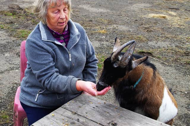 Jackie Dawe with rescued pygmy goat Lenny.