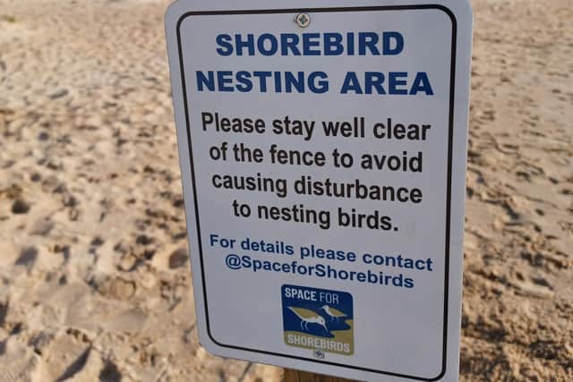 Beach walkers asked to tread carefully this beach nesting season.
