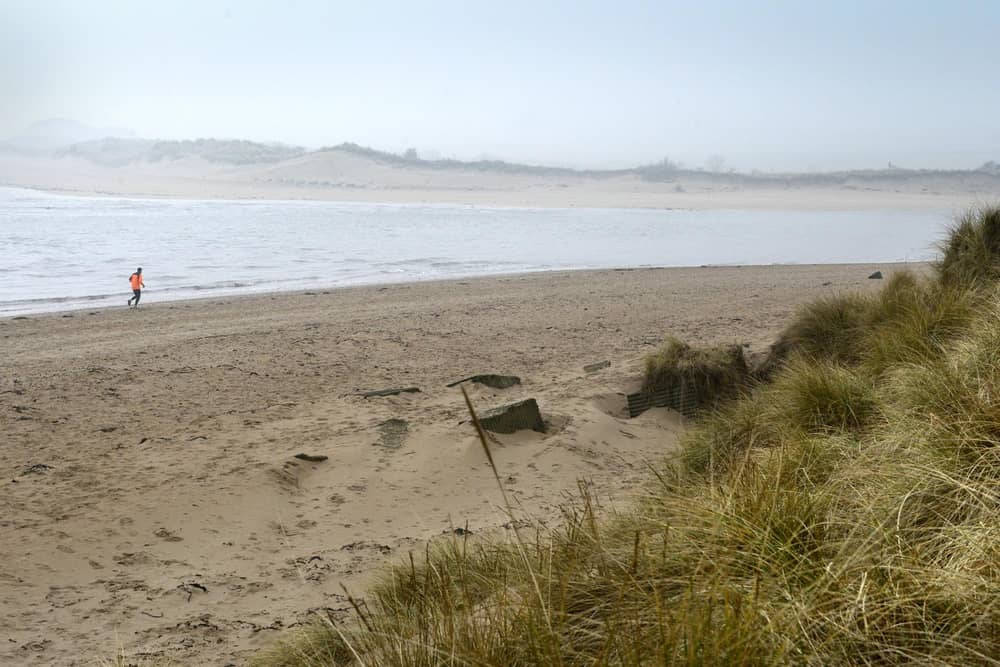 Alnmouth beach has been named as the most dog-friendly.