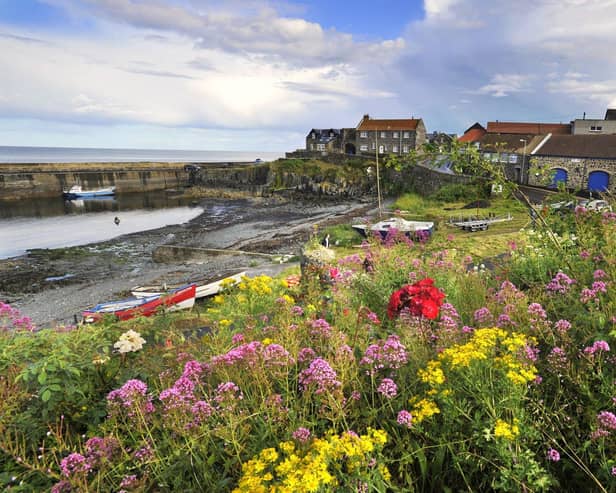 More concerns have been raised about parking in Craster.