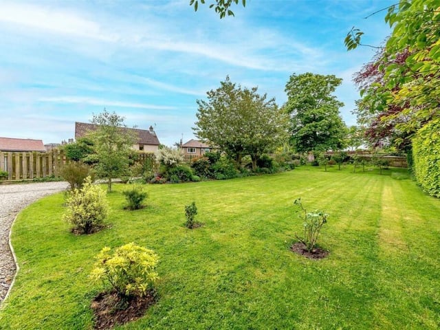 Garden.