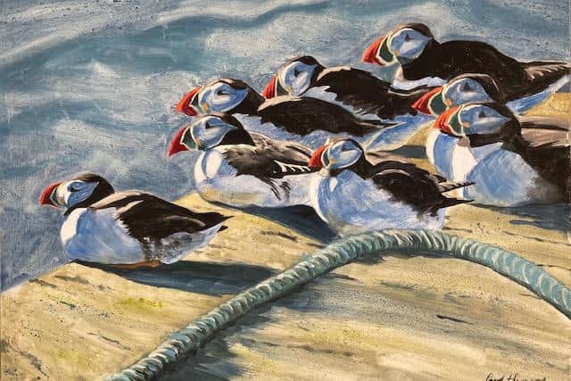 Puffins by Paul Henery.