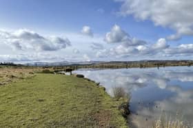 Chatton fishery.